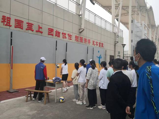 排球